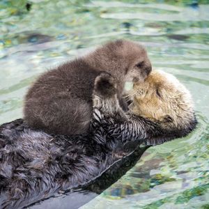 Meet your Posher, Pamela